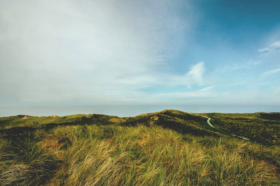8月11日汇市晚评：英国央行或需要放慢降息步伐 英镑/美元上方抛压较重